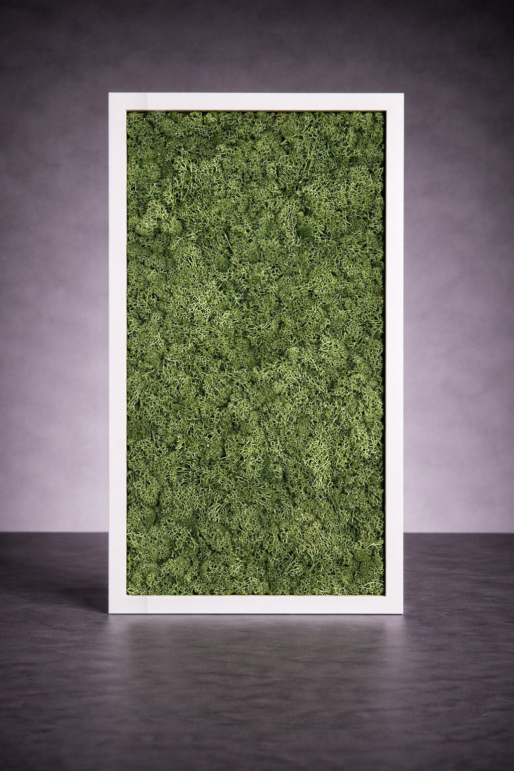 Island Moos Naturpaneel 50 x 100 cm